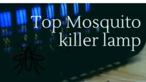 Mosquito killer lamp