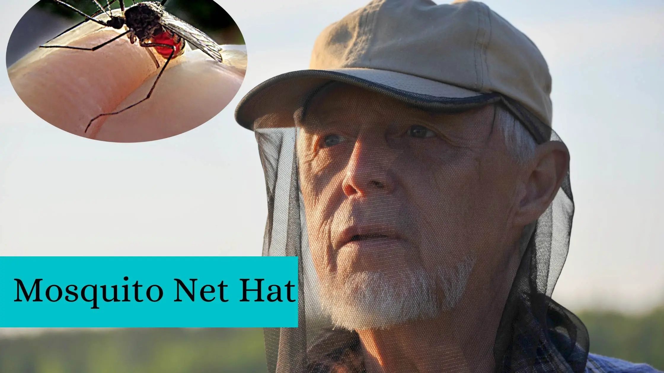 Best mosquito net hat
