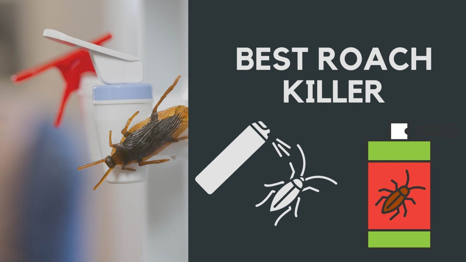 Best roach killer - greatfriction.com - How To Get Rid Of A Heavy Roach Infestation