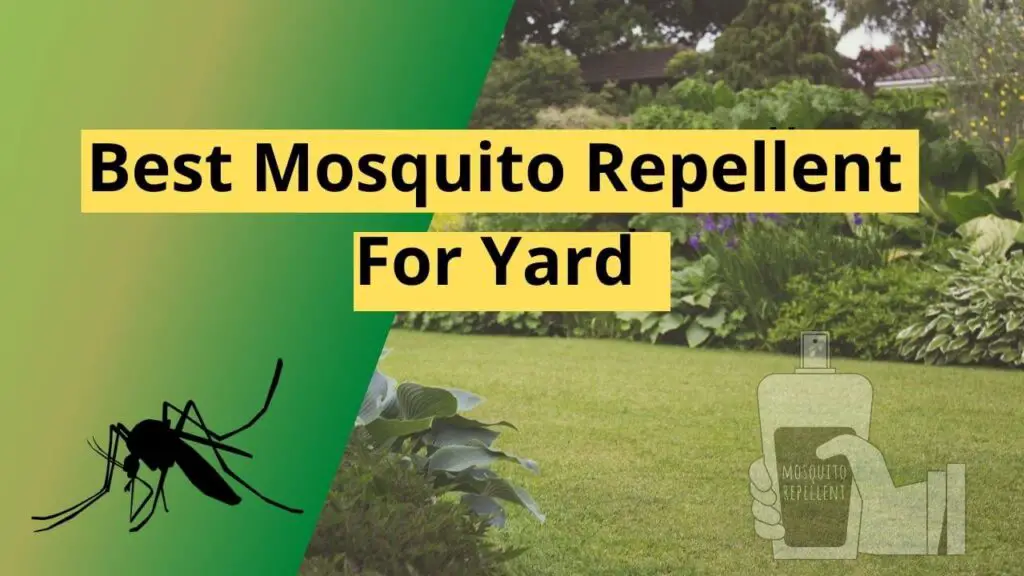Best Mosquito Repellent For Yard